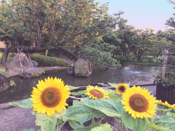 関東からも関西からも出かけてみたい三重県の穴場スポット 年初開催の なばなの里 夏イルミネーション Around